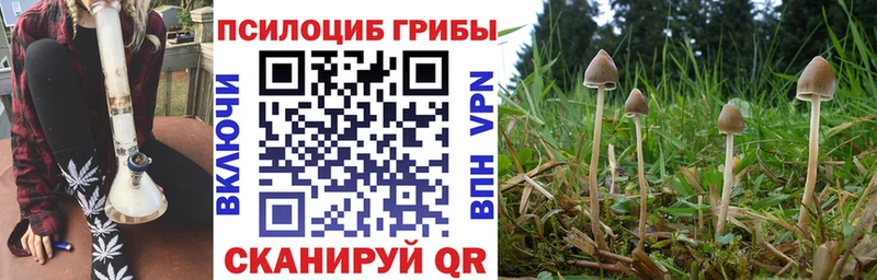Галлюциногенные грибы ЛСД  Купить закладки  Сафоново 